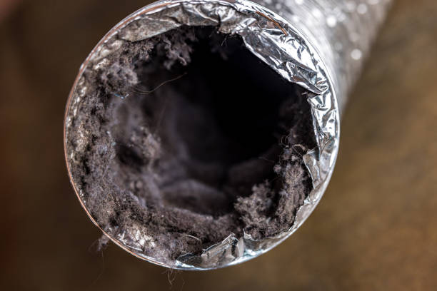 Best Commercial Air Duct Cleaning  in Cowarts, AL